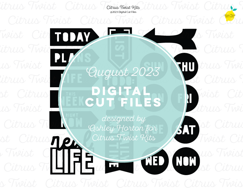 Real Life File Design Digital Cut Files - REAL LIFE – Citrus Twist Kits