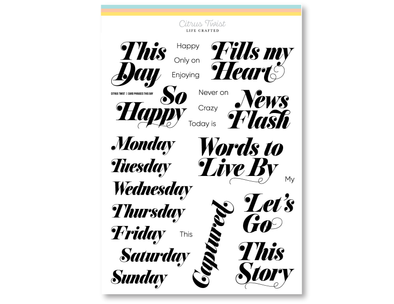 Citrus Twist 6" x 8" CARD PHRASES THIS DAY Stamp