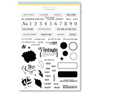 Citrus Twist 6" x 8" VINTAGE LOVE Stamp