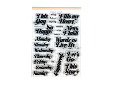 Citrus Twist 6" x 8" CARD PHRASES THIS DAY Stamp