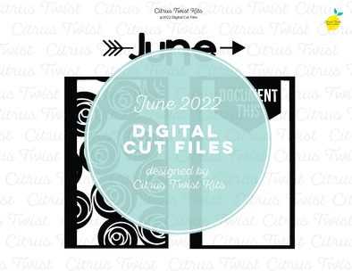 Digital Cut file - SCREENS  - June 2022